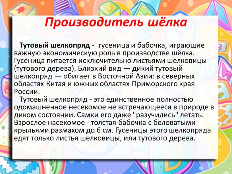 Производитель шёлка Тутовый шелкопряд - гусеница и бабочка, играющие важную экономическую роль в производстве шёлка