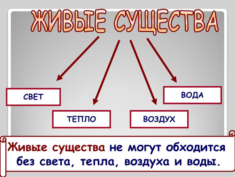 ЖИВЫЕ СУЩЕСТВА СВЕТ ТЕПЛО ВОДА