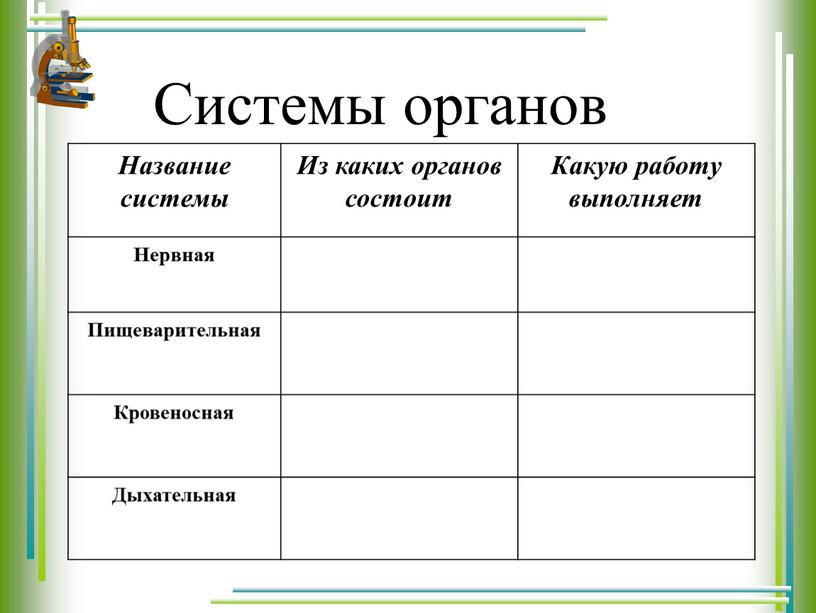 Название системы Из каких органов состоит