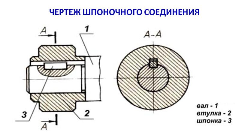 ЧЕРТЕЖ ШПОНОЧНОГО СОЕДИНЕНИЯ