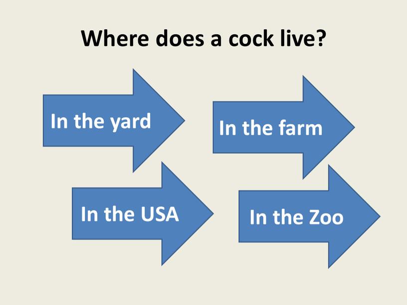 Where does a cock live? In the yard