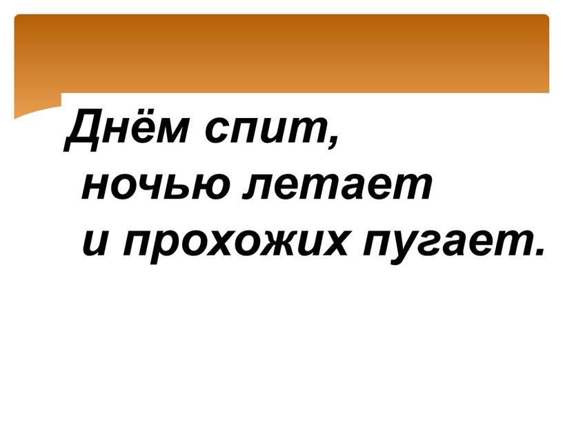 Днём спит, ночью летает и прохожих пугает