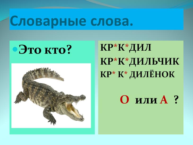 Словарные слова. Это кто? КР*К*ДИЛ