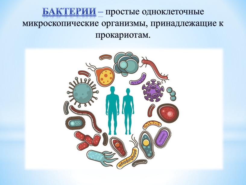 Бактерии – простые одноклеточные микроскопические организмы, принадлежащие к прокариотам