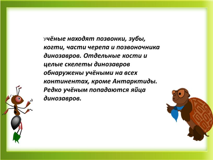 У чёные находят позвонки, зубы, когти, части черепа и позвоночника динозавров