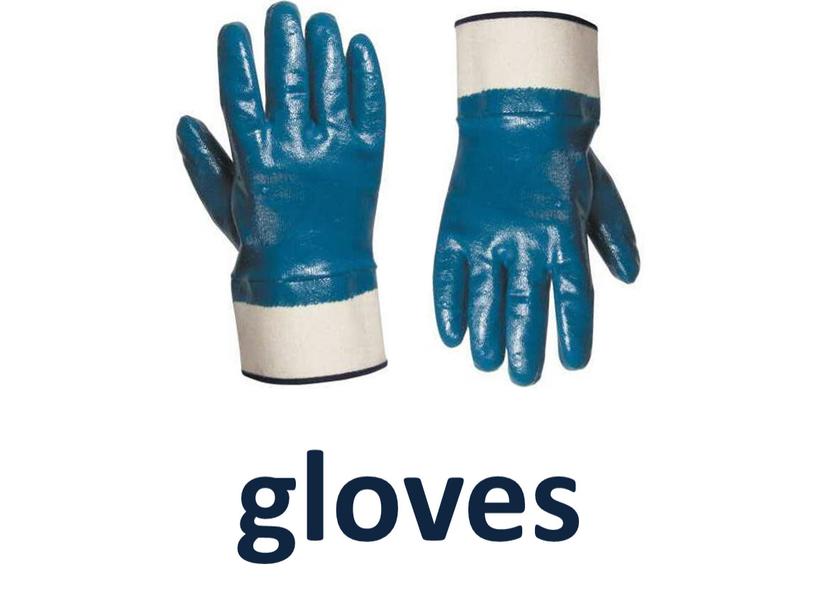 gloves