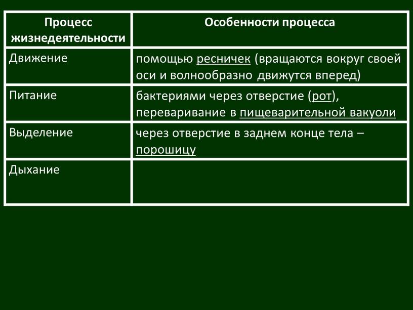 Процесс жизнедеятельности Особенности процесса