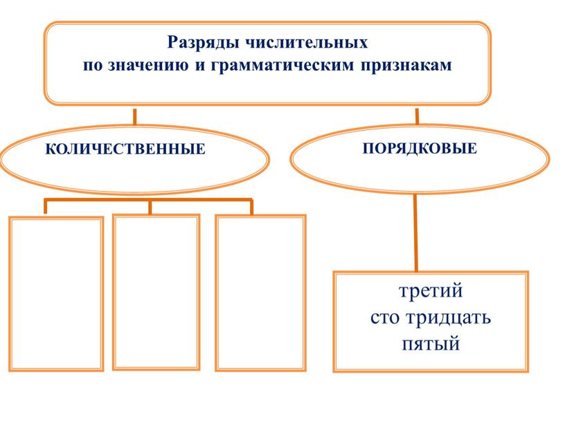 КОЛИЧЕСТВЕННЫЕ ПОРЯДКОВЫЕ третий сто тридцать пятый