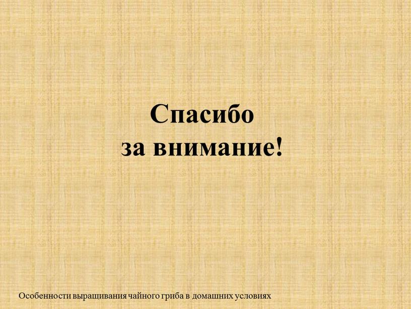 Спасибо за внимание! Особенности выращивания чайного гриба в домашних условиях