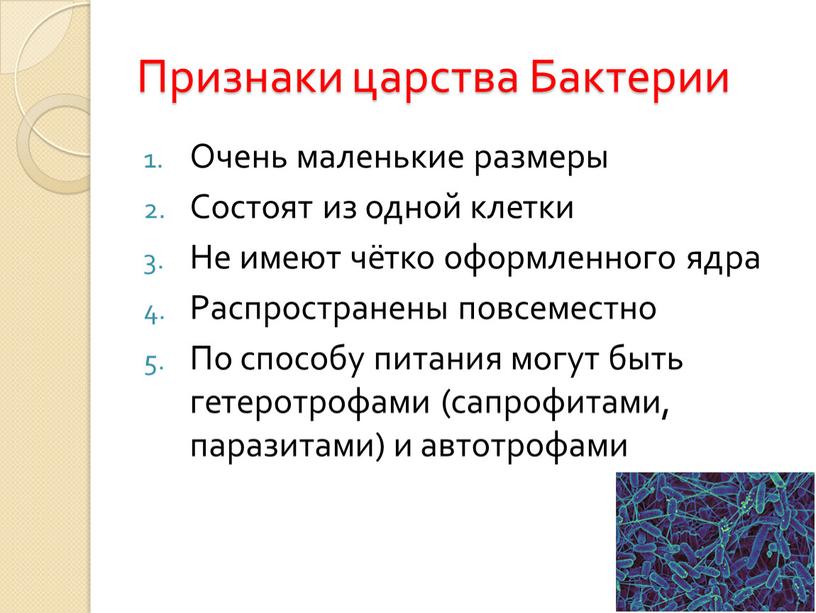 Признаки царства Бактерии Очень маленькие размеры