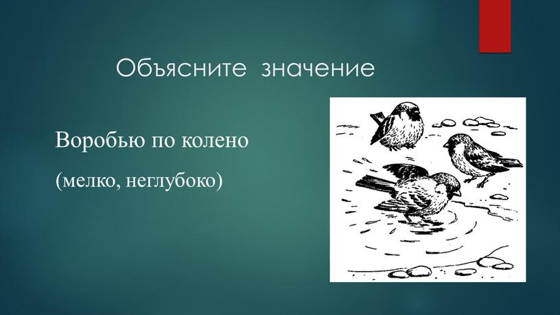 Объясните значение Воробью по колено (мелко, неглубоко)