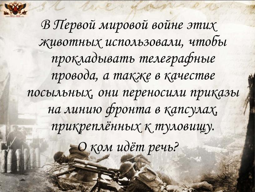 В Первой мировой войне этих животных использовали, чтобы прокладывать телеграфные провода, а также в качестве посыльных, они переносили приказы на линию фронта в капсулах, прикреплённых…