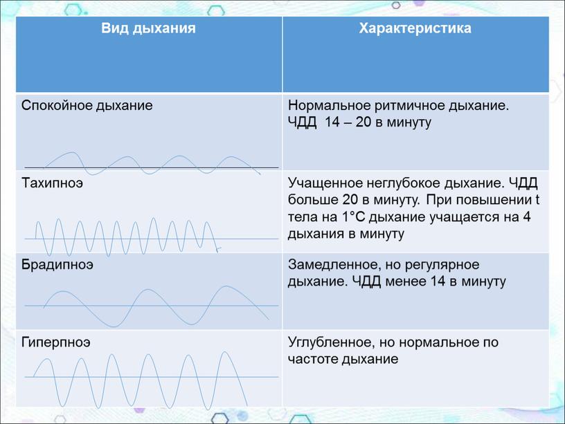 Вид дыхания Характеристика Спокойное дыхание