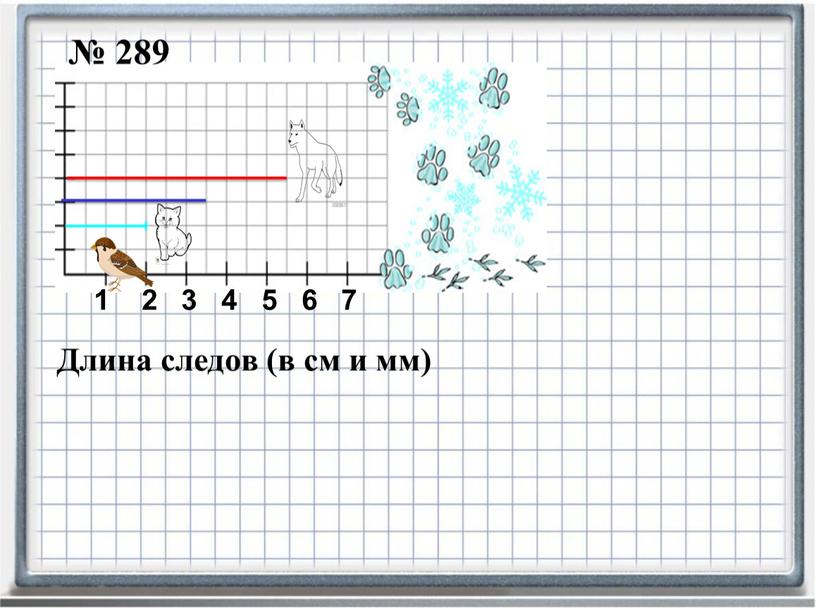 Длина следов (в см и мм) 1 2 3 4 5 6 7