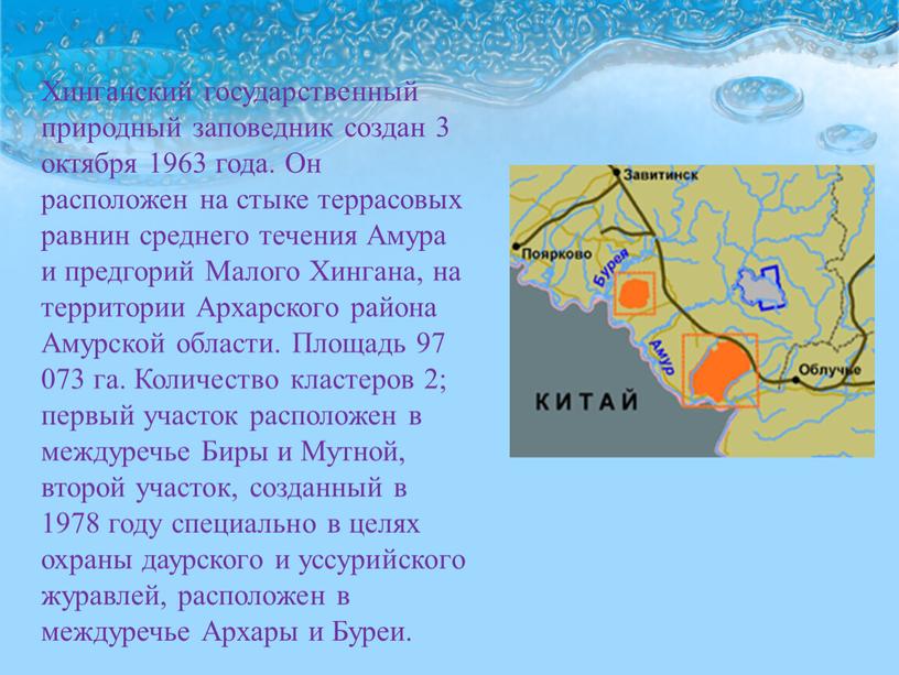 Хинганский государственный природный заповедник создан 3 октября 1963 года