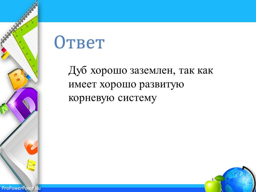 Дуб хорошо заземлен, так как имеет хорошо развитую корневую систему