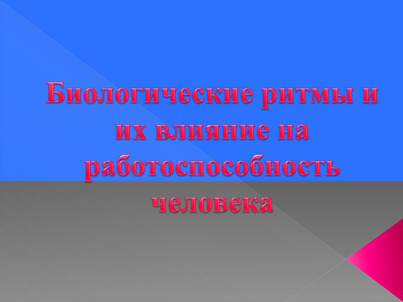 Биологические ритмы и их влияние на работоспособность человека