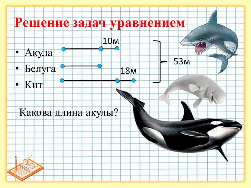 Рассмотрите рисунок где изображены акула и дельфин