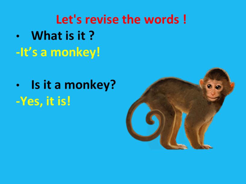 Let's revise the words ! What is it ? -It’s a monkey!