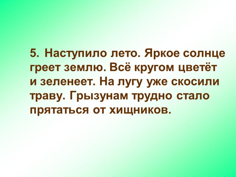 Наступило лето. Яркое солнце греет землю