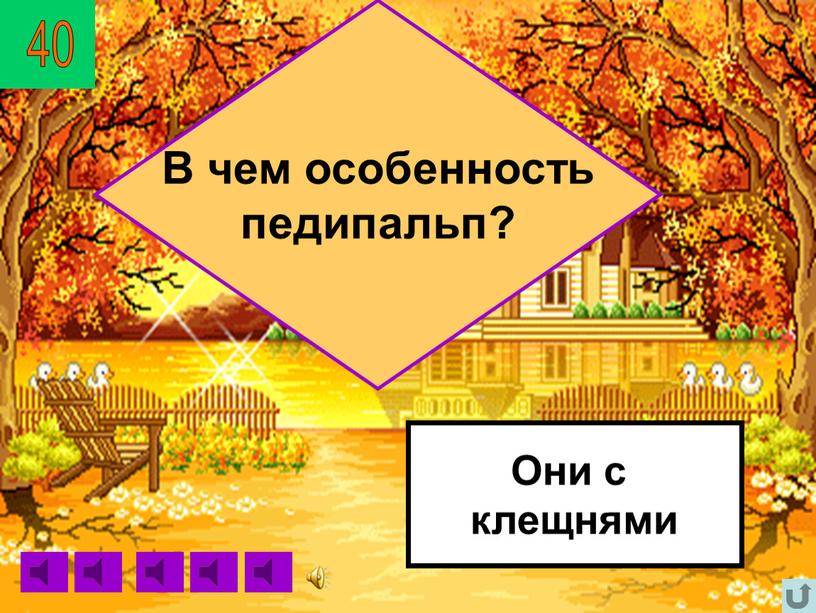 Они с клещнями В чем особенность педипальп?