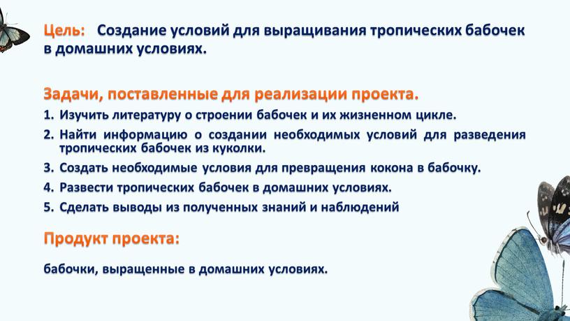 Цель: Создание условий для выращивания тропических бабочек в домашних условиях