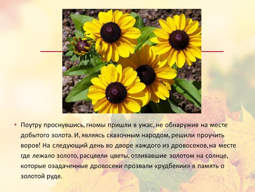 Поутру проснувшись, гномы пришли в ужас, не обнаружив на месте добытого золота