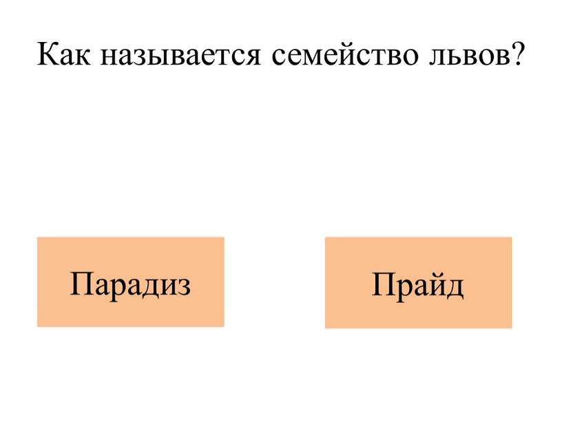 Как называется семейство львов?