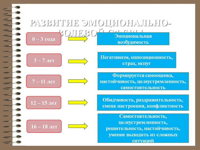 Развитие эмоционально-волевой сферы 0 – 3 года