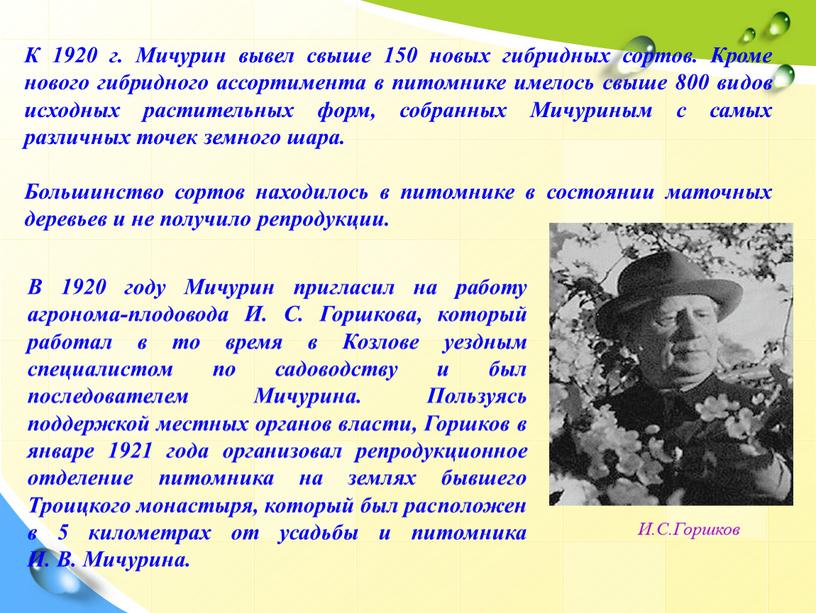 В 1920 году Мичурин пригласил на работу агронома-плодовода