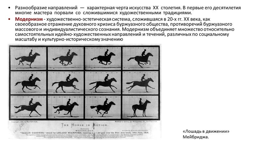 Разнообразие направлений — характерная черта искусства