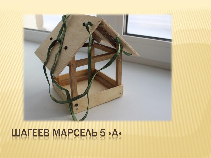 Шагеев Марсель 5 «А»