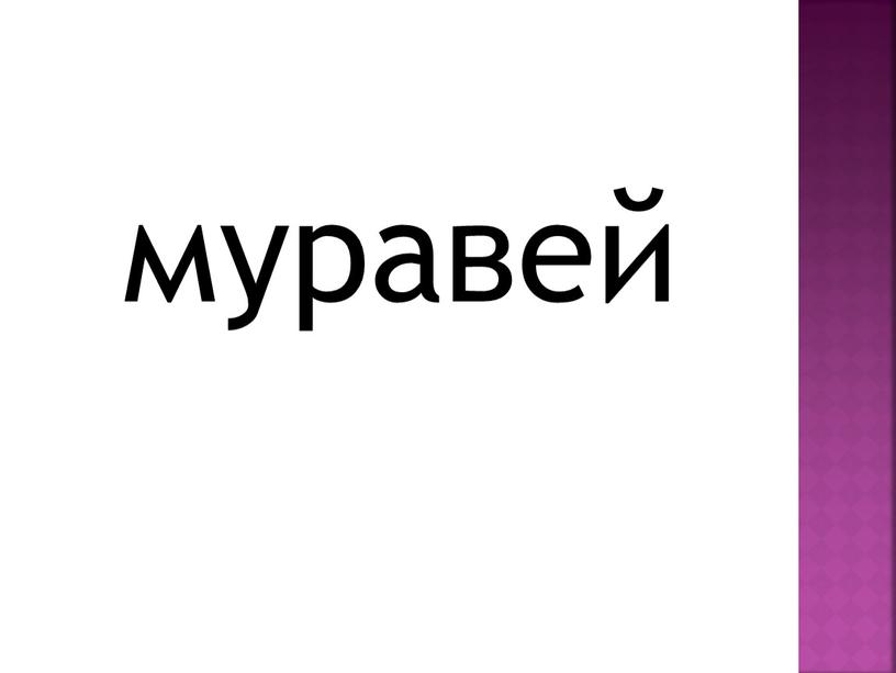 муравей