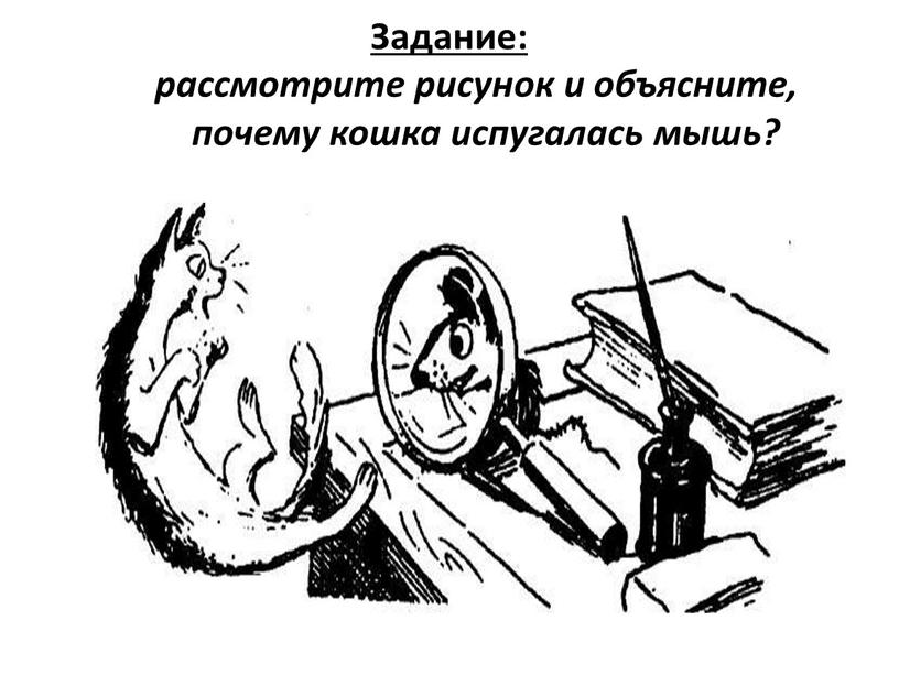 Задание: рассмотрите рисунок и объясните, почему кошка испугалась мышь?