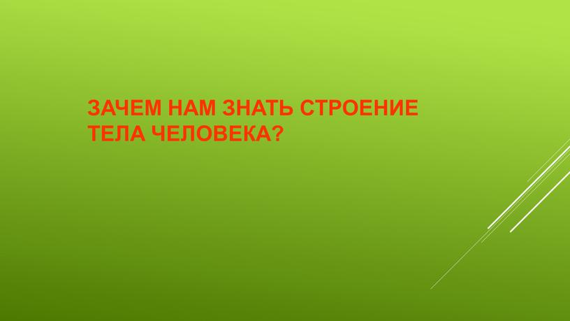 Зачем нам знать строение тела человека?