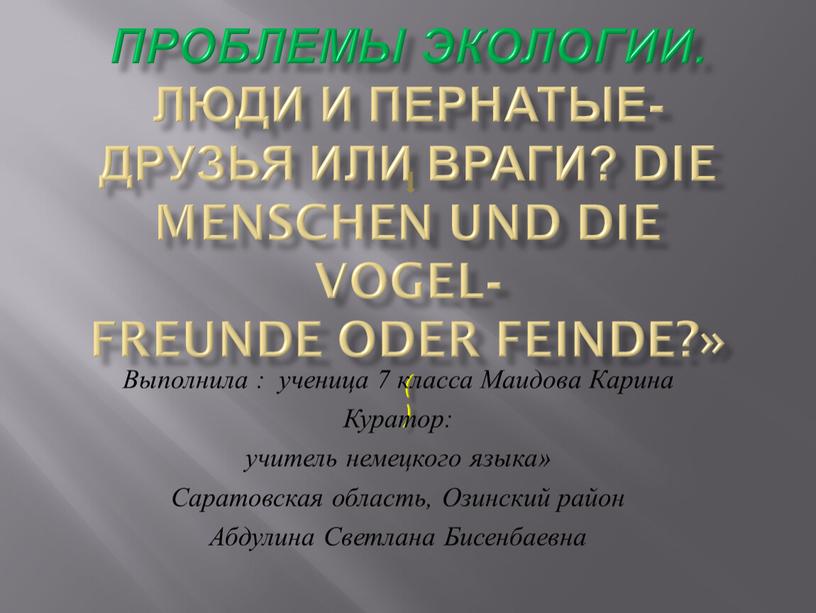 ПРОБЛЕМЫ ЭКОЛОГИИ. Люди и пернатые- друзья или враги?