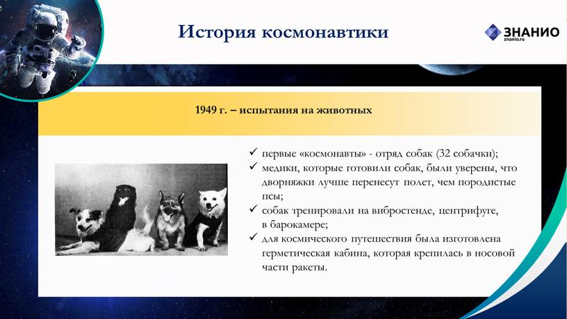 История космонавтики 1949 г. – испытания на животных первые «космонавты» - отряд собак (32 собачки); медики, которые готовили собак, были уверены, что дворняжки лучше перенесут…