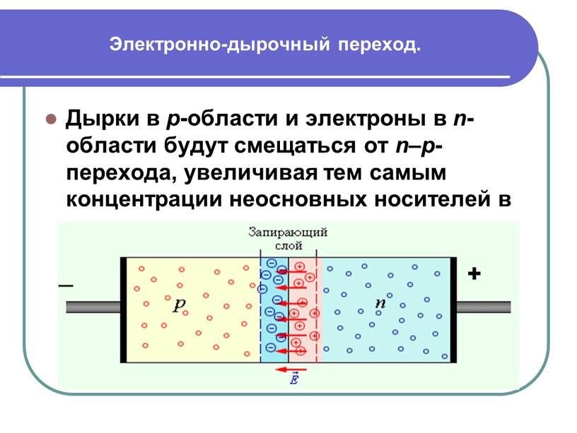 Электронно-дырочный переход. Дырки в p -области и электроны в n -области будут смещаться от n – p -перехода, увеличивая тем самым концентрации неосновных носителей в…