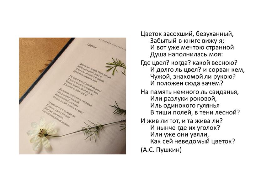 Цветок засохший, безуханный, Забытый в книге вижу я;