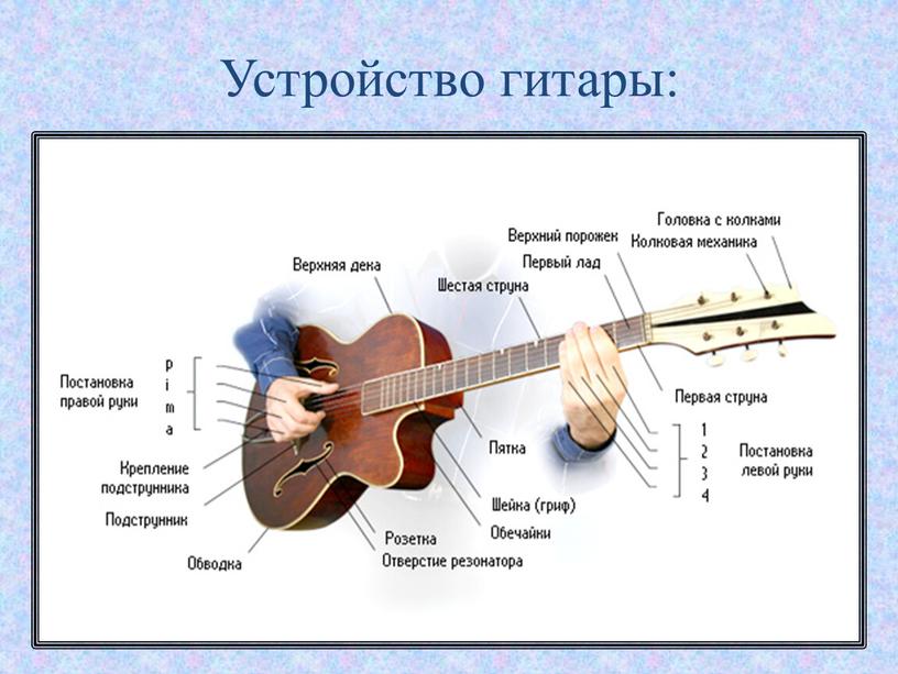 Устройство гитары: