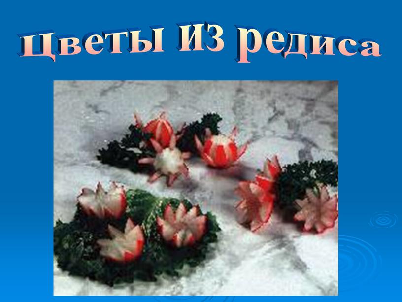 Цветы из редиса