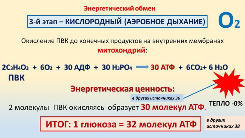 Энергетический обмен 3-й этап –