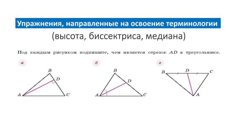 (высота, биссектриса, медиана)