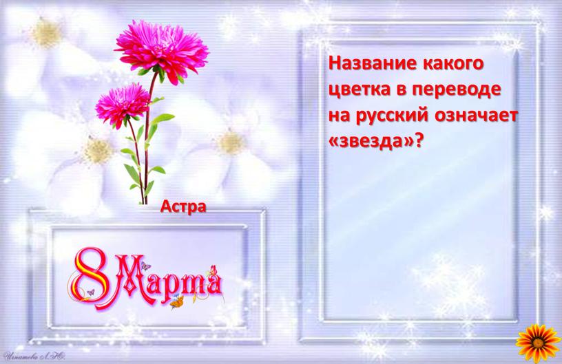 Название какого цветка в переводе на русский означает «звезда»?