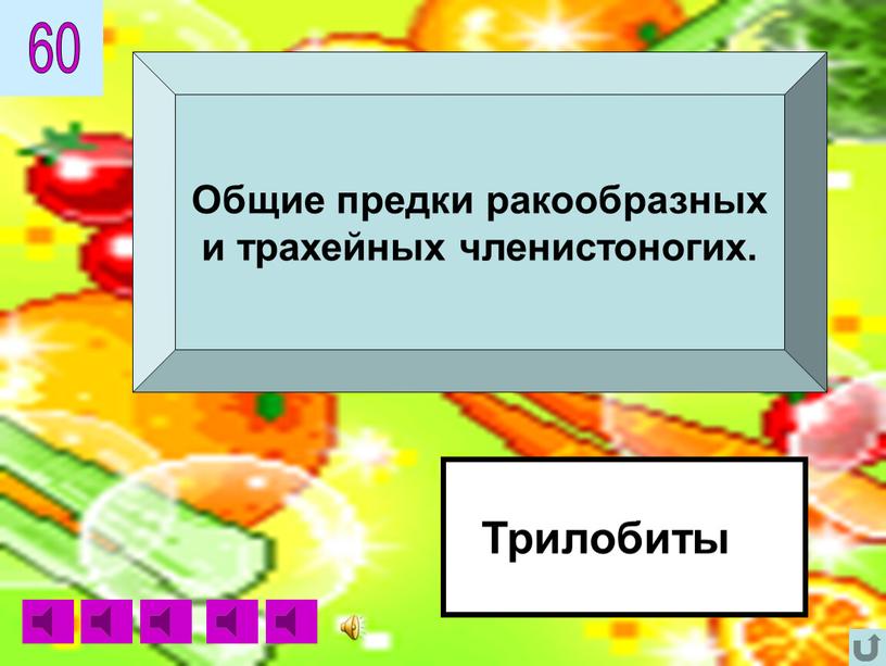 Трилобиты Общие предки ракообразных и трахейных членистоногих