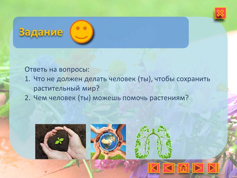 Задание Ответь на вопросы: Что не должен делать человек (ты), чтобы сохранить растительный мир?