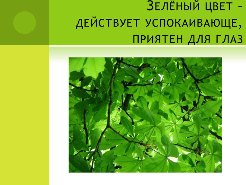 Зелёный цвет – действует успокаивающе, приятен для глаз