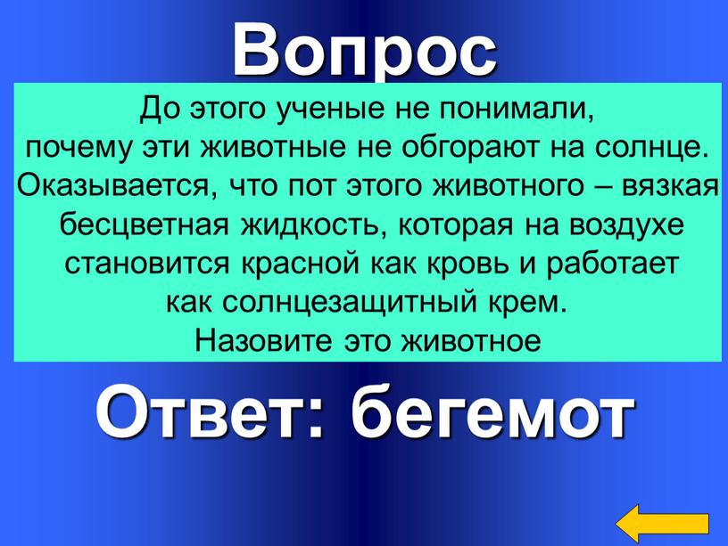 Вопрос Ответ: бегемот До этого ученые не понимали, почему эти животные не обгорают на солнце