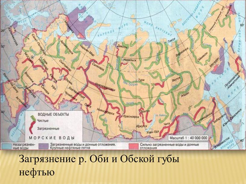 Загрязнение р. Оби и Обской губы нефтью