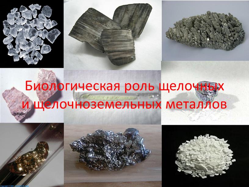 Биологическая роль щелочных и щелочноземельных металлов